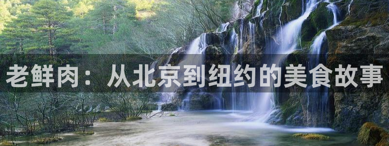 包子漫画：老鲜肉：从北京到纽约的美食故事