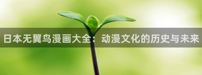 包子漫画无广告版本：日本无翼鸟漫画大全：动漫文化的历史与未来